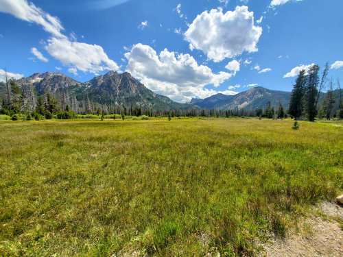 A scenic view of a grassy meadow surrounded by mountains and blue skies with fluffy clouds.