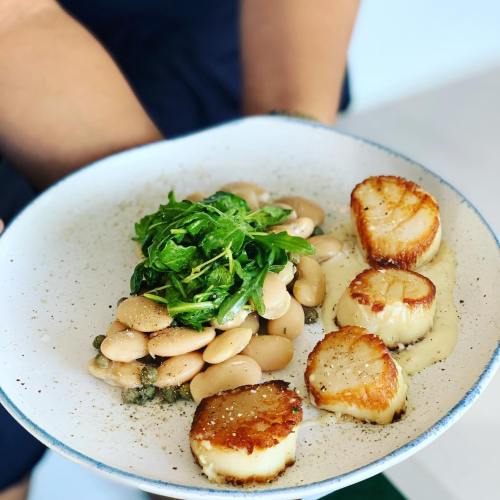 A plate of seared scallops with white beans and arugula, garnished with spices and a creamy sauce.