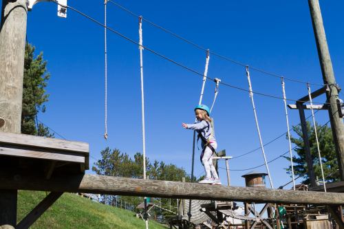 A child balances on a wooden beam at a playground, surrounded by ropes and trees under a clear blue sky.