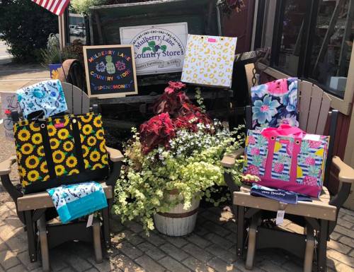 Colorful bags displayed on chairs outside a country store, surrounded by plants and a sign that reads "Spend Money."