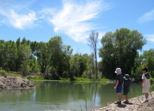 Three children stand by a calm pond, surrounded by lush greenery and a bright blue sky with wispy clouds.