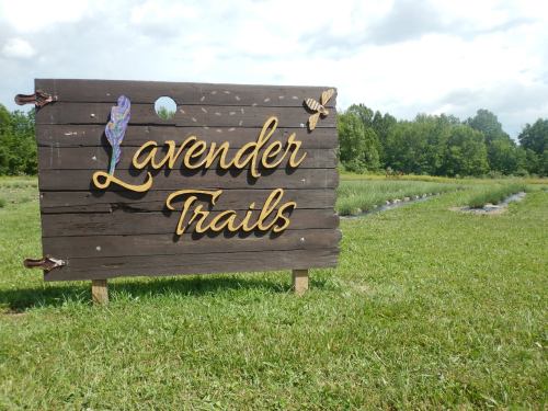 Wooden sign reading "Lavender Trails" with decorative elements, set in a grassy field with lavender plants in the background.