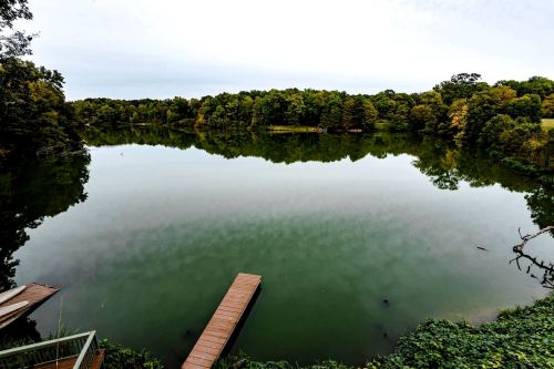 A calm lake surrounded by lush trees, with a wooden dock extending into the water, reflecting the serene landscape.