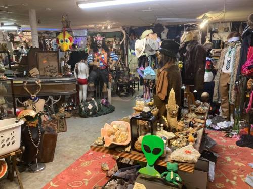 A cluttered vintage shop filled with eclectic items, costumes, and unusual decor in a dimly lit basement.