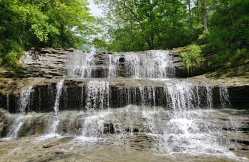 A serene waterfall cascading over rocky steps, surrounded by lush green trees and foliage.
