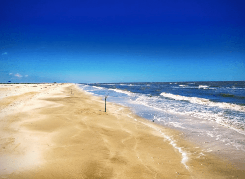 A serene beach scene with golden sand, gentle waves, and a clear blue sky.