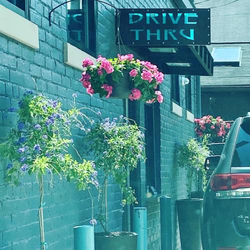 A drive-thru sign hangs above colorful flower pots outside a building, with a car waiting in line.