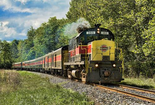 A vintage train with a yellow and red locomotive travels along a scenic track surrounded by lush greenery.