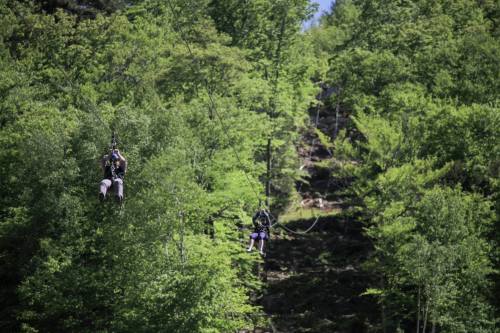 Two people ziplining through a lush green forest on a sunny day.