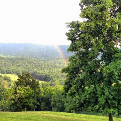 A vibrant rainbow arcs over a lush green landscape with trees and rolling hills under a cloudy sky.