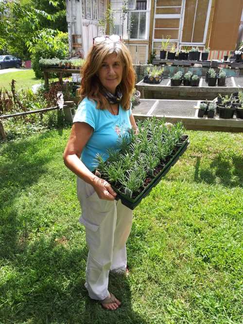 A woman in a blue shirt holds a tray of small plants in a garden, surrounded by greenery and potted plants.