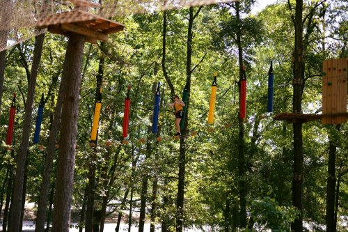 A person navigates a high ropes course among trees, balancing on colorful poles suspended in the air.