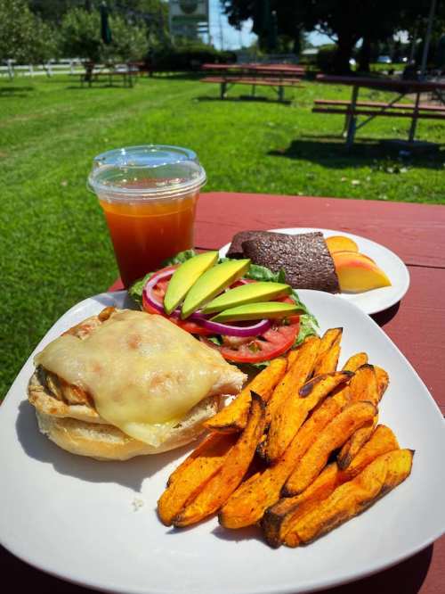 A plate with a cheesy chicken sandwich, sweet potato fries, salad, and a drink on a picnic table in a grassy area.