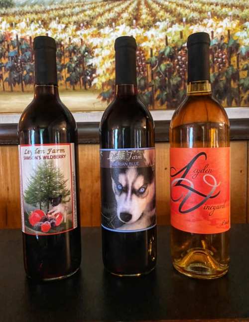 Three wine bottles with colorful labels featuring animals and nature, displayed against a vineyard backdrop.