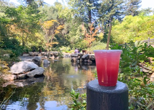 A refreshing drink sits on a post by a serene pond surrounded by lush greenery and rocks.