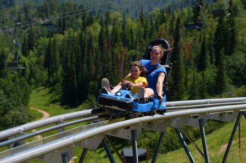 A child and an adult enjoy a thrilling ride on a mountain coaster, surrounded by lush green trees and a scenic landscape.