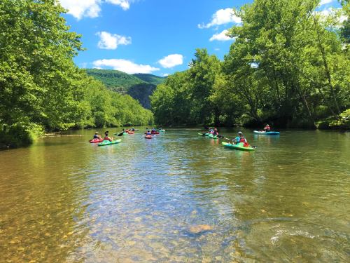A group of kayakers paddles on a calm river surrounded by lush green trees and a clear blue sky.