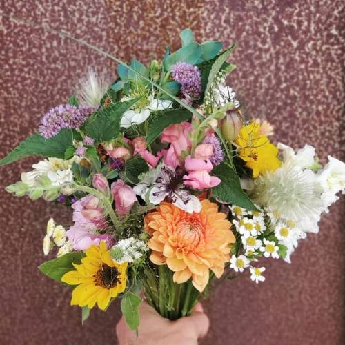 A vibrant bouquet of mixed flowers, including sunflowers, daisies, and pink blooms, held against a textured background.