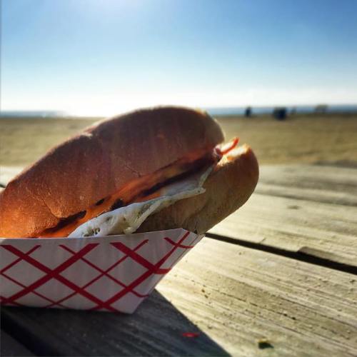 A close-up of a sandwich on a wooden table, with a beach and ocean in the background under a clear blue sky.
