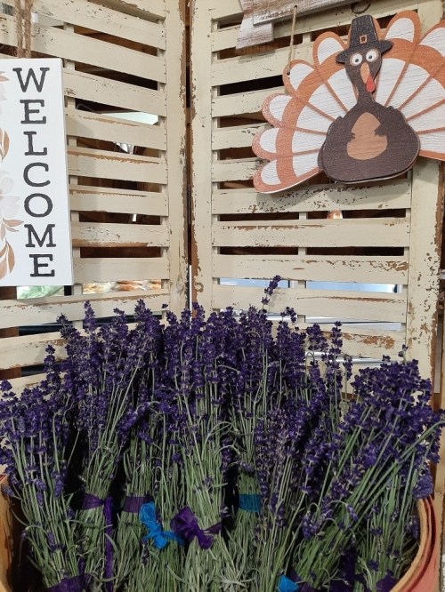 A rustic display featuring lavender bundles, a "Welcome" sign, and a turkey decoration on a wooden backdrop.