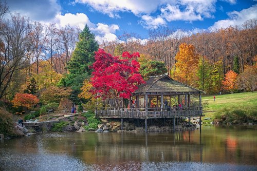 A serene pond with a wooden gazebo surrounded by vibrant autumn foliage and a clear blue sky.