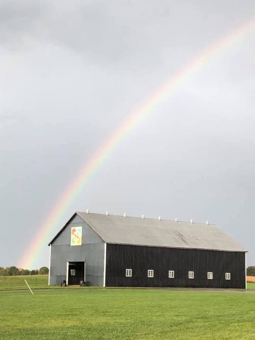 A gray barn with a colorful mural under a vibrant rainbow against a cloudy sky. Lush green grass surrounds the barn.