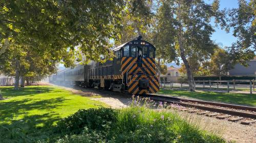 A striped train engine approaches along a tree-lined track, with greenery and a house in the background.