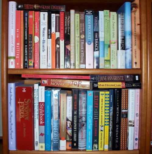 A wooden bookshelf filled with various books, showcasing a mix of fiction and non-fiction titles in colorful covers.