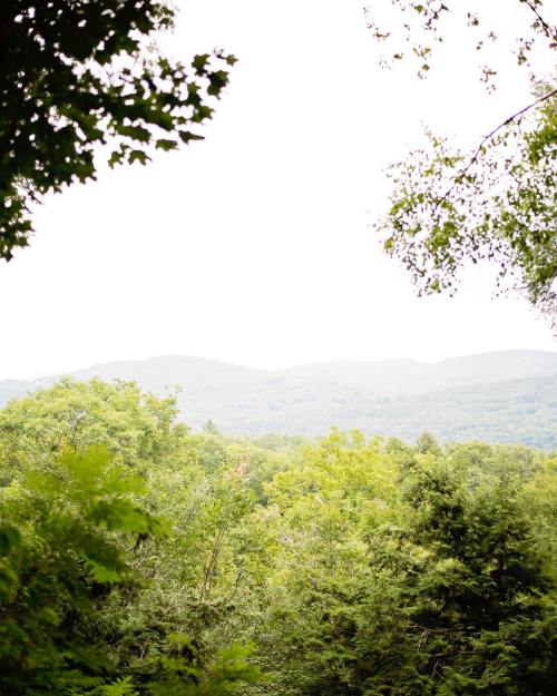 Lush green trees in the foreground with distant mountains under a bright, cloudy sky.