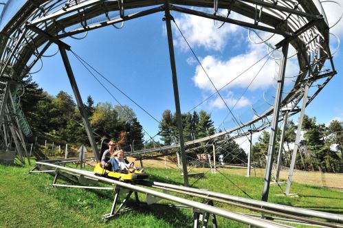Two people ride a yellow alpine coaster on a track with twists and turns, surrounded by trees and blue skies.