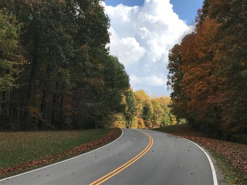 A winding road surrounded by trees with autumn foliage under a partly cloudy sky.