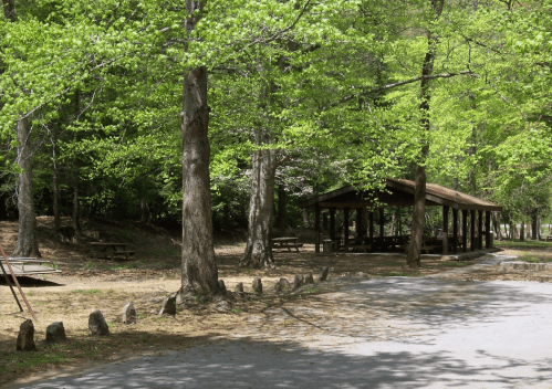 A shaded picnic area with a wooden shelter surrounded by lush green trees and a gravel path.