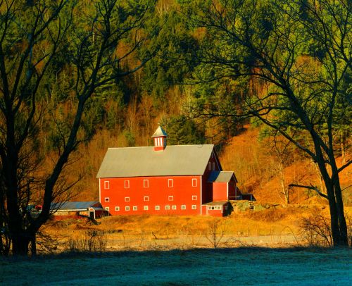 A red barn with a white roof stands amidst trees and hills, bathed in warm sunlight.
