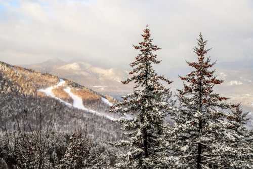 Snow-covered mountains with evergreen trees in the foreground and a ski slope winding through the landscape.