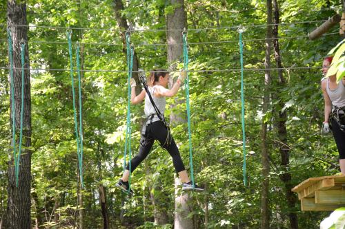 A person navigates a rope course in a forest, wearing a harness and focused on balancing.