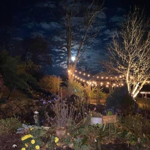 A serene night garden scene with a full moon, string lights, and trees, creating a peaceful atmosphere.