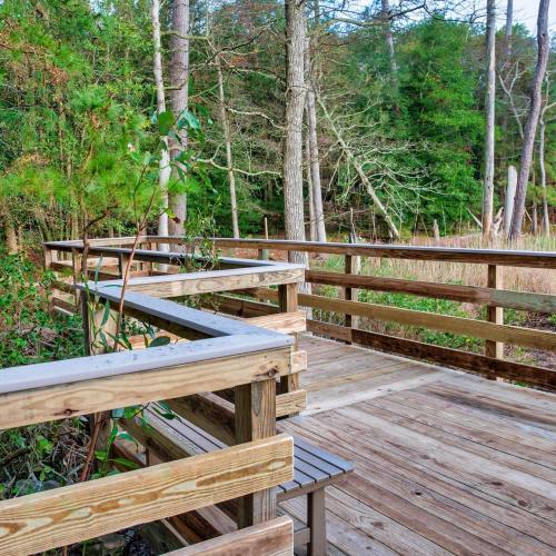 A wooden boardwalk winds through a forested area, surrounded by trees and greenery.