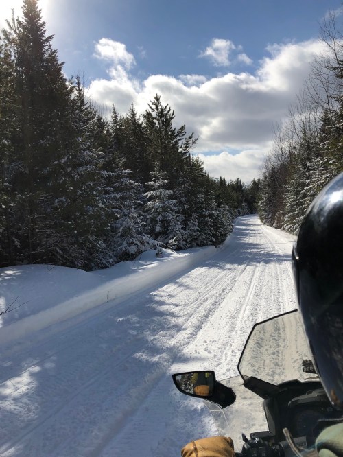 A snow-covered trail surrounded by evergreen trees under a bright blue sky with fluffy clouds.