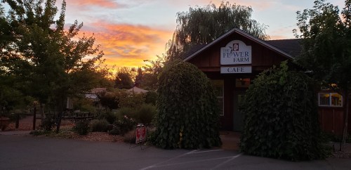 A cozy café at The Flower Farm, framed by lush greenery, with a vibrant sunset in the background.