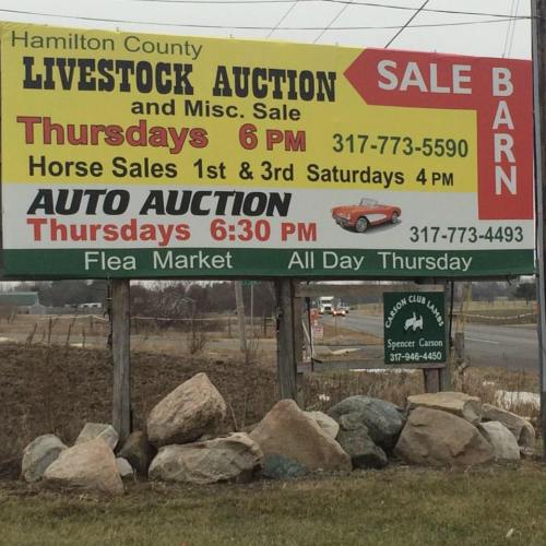 Sign for Hamilton County Livestock Auction with details on sales, including livestock and horse auctions, and flea market.