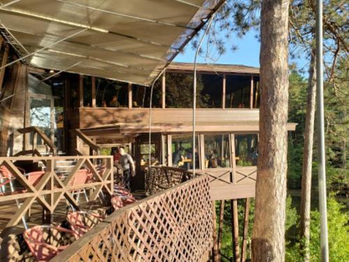 A wooden treehouse restaurant surrounded by trees, featuring outdoor seating and large windows.