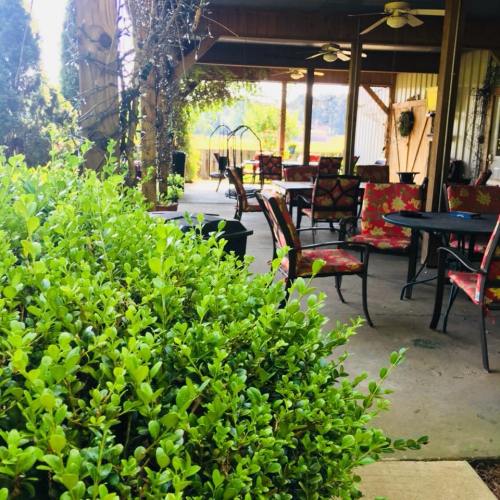 A cozy outdoor seating area with colorful chairs and tables, surrounded by greenery and a peaceful view.