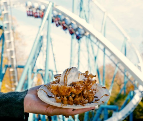 A hand holds a plate of funnel cake topped with ice cream and syrup, with a roller coaster in the background.