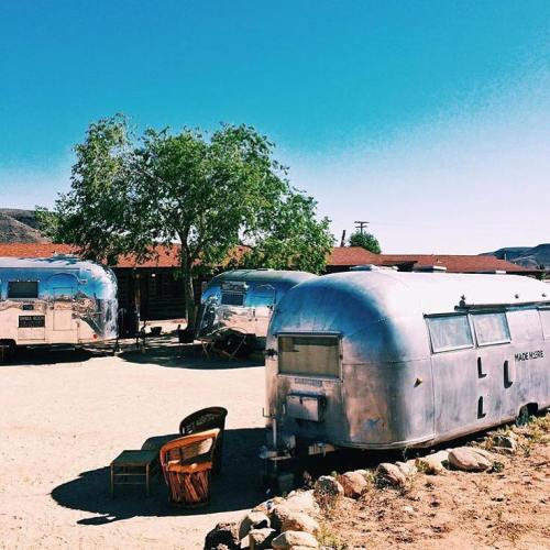 A sunny outdoor scene featuring vintage Airstream trailers and a tree, with a rustic building in the background.