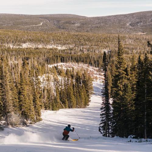 A skier descends a snowy slope surrounded by tall evergreen trees and a vast mountainous landscape.