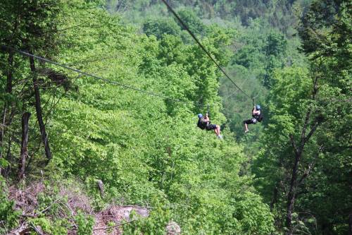 Two people ziplining through a lush green forest, surrounded by trees and hills.