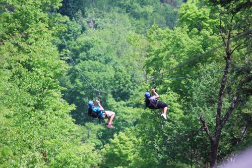 Two people ziplining through a lush green forest, surrounded by trees and vibrant foliage.