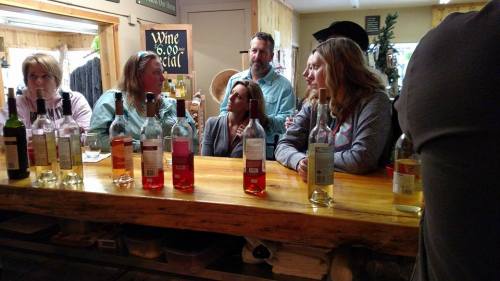 A group of people chatting at a bar with various bottles of wine displayed on the counter.