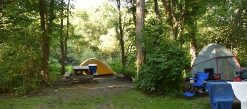 A serene campsite with two tents, a picnic table, and surrounded by lush greenery and trees.