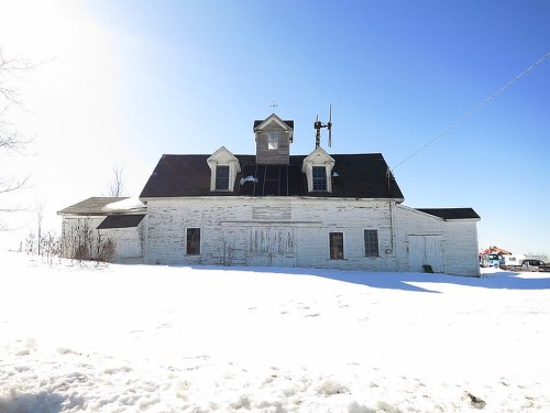 A weathered white barn with a cupola, surrounded by snow under a clear blue sky.
